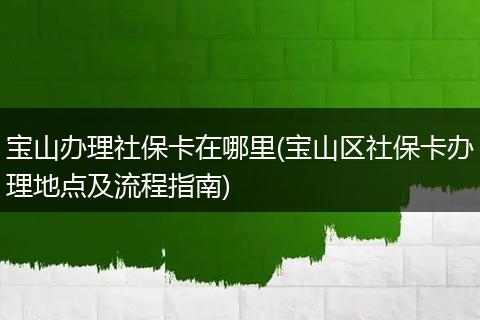 宝山办理社保卡在哪里(宝山区社保卡办理地点及流程指南)