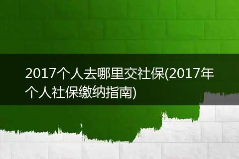 2017个人去哪里交社保(2017年个人社保缴纳指南)