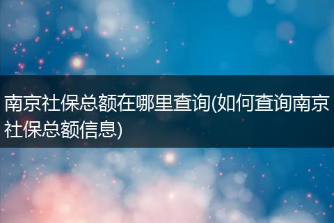 南京社保总额在哪里查询(如何查询南京社保总额信息)