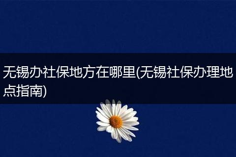 无锡办社保地方在哪里(无锡社保办理地点指南)