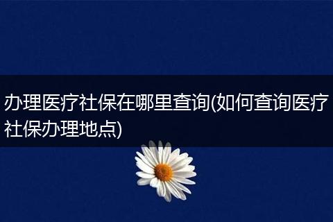 办理医疗社保在哪里查询(如何查询医疗社保办理地点)