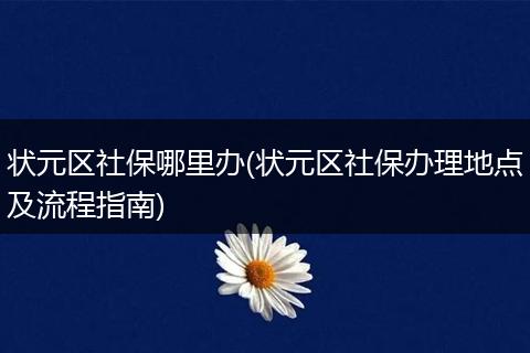 状元区社保哪里办(状元区社保办理地点及流程指南)
