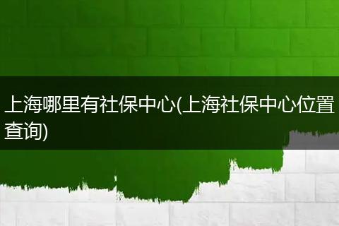 上海哪里有社保中心(上海社保中心位置查询)
