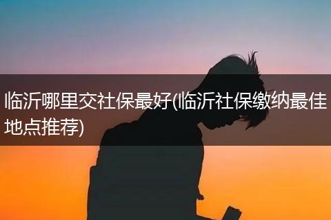 临沂哪里交社保最好(临沂社保缴纳最佳地点推荐)
