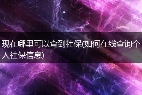 现在哪里可以查到社保(如何在线查询个人社保信息)