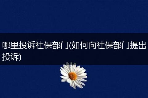 哪里投诉社保部门(如何向社保部门提出投诉)