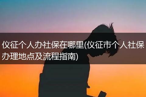 仪征个人办社保在哪里(仪征市个人社保办理地点及流程指南)