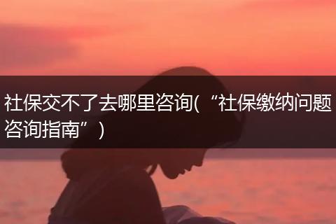 社保交不了去哪里咨询(“社保缴纳问题咨询指南”)