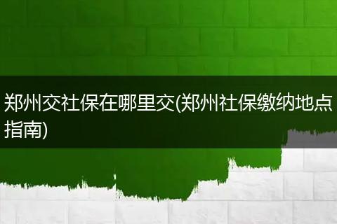 郑州交社保在哪里交(郑州社保缴纳地点指南)