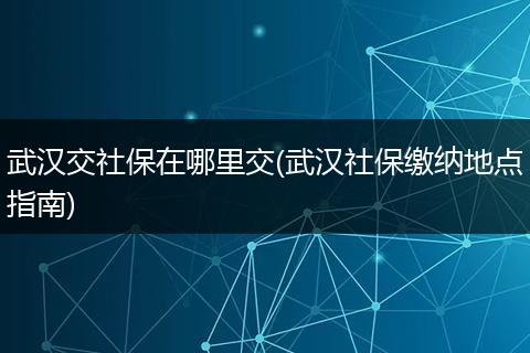 武汉交社保在哪里交(武汉社保缴纳地点指南)