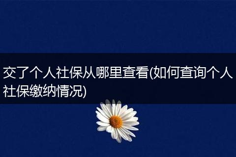 交了个人社保从哪里查看(如何查询个人社保缴纳情况)