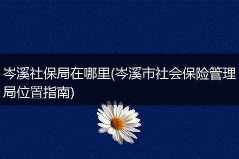 岑溪社保局在哪里(岑溪市社会保险管理局位置指南)