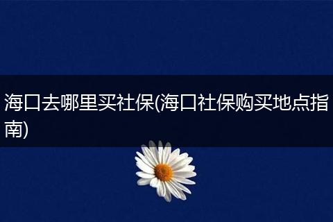 海口去哪里买社保(海口社保购买地点指南)