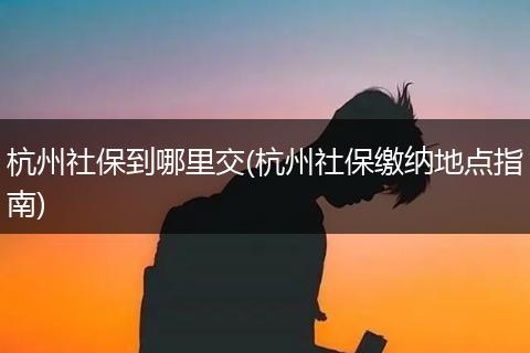 杭州社保到哪里交(杭州社保缴纳地点指南)