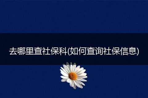 去哪里查社保科(如何查询社保信息)