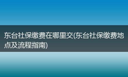 东台社保缴费在哪里交(东台社保缴费地点及流程指南)