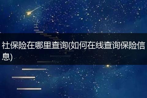 社保险在哪里查询(如何在线查询保险信息)
