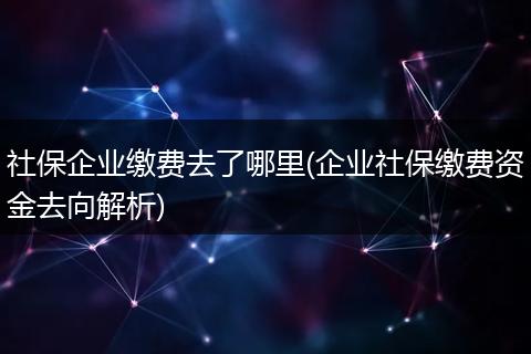 社保企业缴费去了哪里(企业社保缴费资金去向解析)
