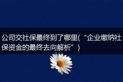 公司交社保最终到了哪里(“企业缴纳社保资金的最终去向解析”)