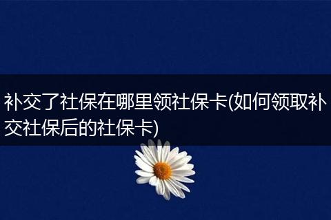 补交了社保在哪里领社保卡(如何领取补交社保后的社保卡)