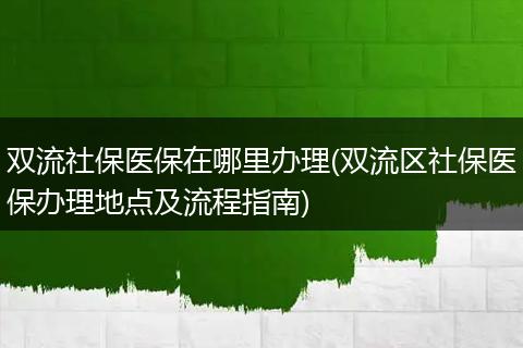 双流社保医保在哪里办理(双流区社保医保办理地点及流程指南)