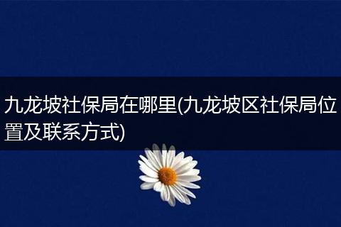 九龙坡社保局在哪里(九龙坡区社保局位置及联系方式)