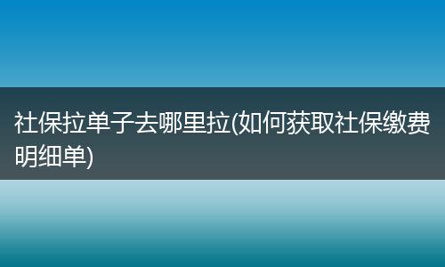 社保拉单子去哪里拉(如何获取社保缴费明细单)