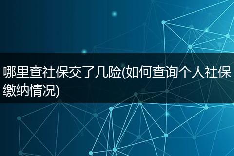 哪里查社保交了几险(如何查询个人社保缴纳情况)