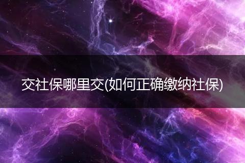 交社保哪里交(如何正确缴纳社保)