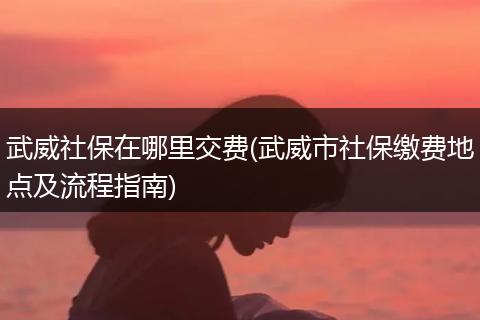 武威社保在哪里交费(武威市社保缴费地点及流程指南)