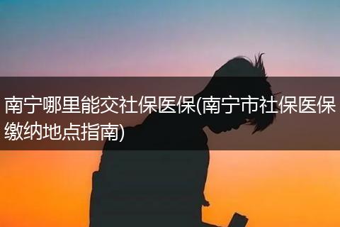 南宁哪里能交社保医保(南宁市社保医保缴纳地点指南)