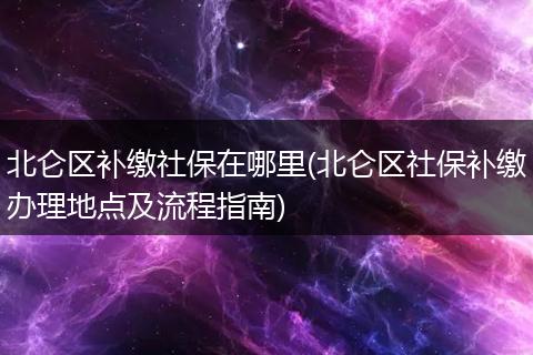 北仑区补缴社保在哪里(北仑区社保补缴办理地点及流程指南)