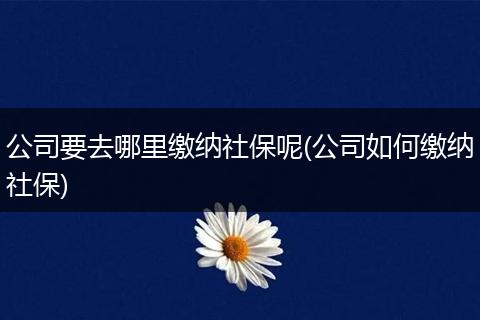 公司要去哪里缴纳社保呢(公司如何缴纳社保)