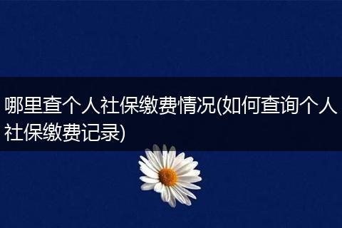 哪里查个人社保缴费情况(如何查询个人社保缴费记录)