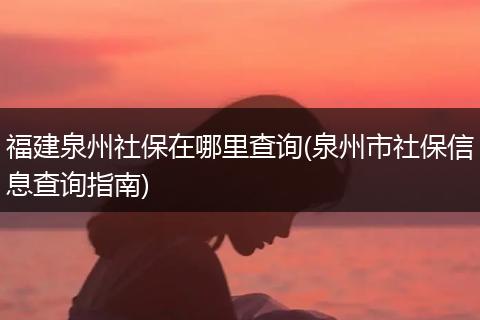 福建泉州社保在哪里查询(泉州市社保信息查询指南)