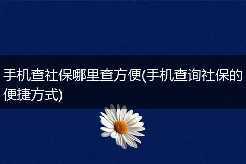 手机查社保哪里查方便(手机查询社保的便捷方式)