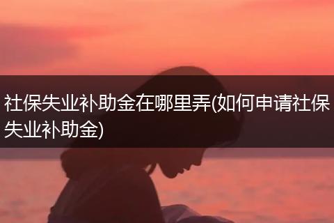 社保失业补助金在哪里弄(如何申请社保失业补助金)