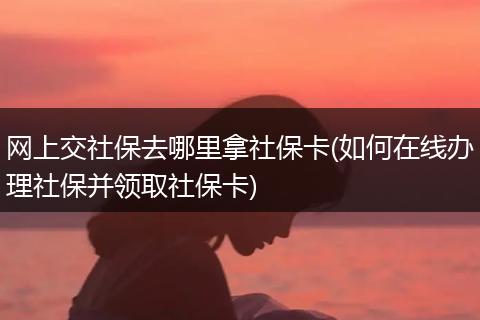 网上交社保去哪里拿社保卡(如何在线办理社保并领取社保卡)