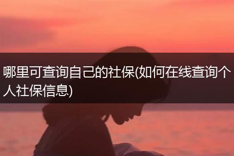 哪里可查询自己的社保(如何在线查询个人社保信息)