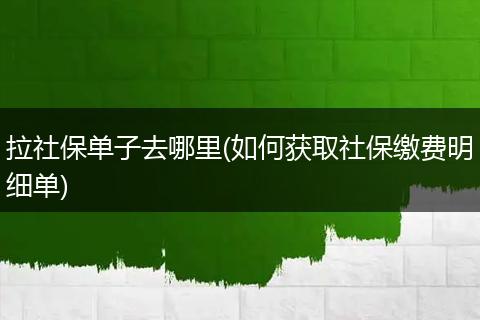 拉社保单子去哪里(如何获取社保缴费明细单)