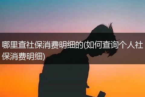 哪里查社保消费明细的(如何查询个人社保消费明细)