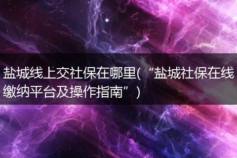 盐城线上交社保在哪里(“盐城社保在线缴纳平台及操作指南”)