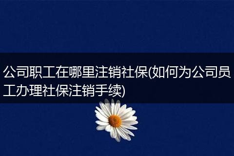 公司职工在哪里注销社保(如何为公司员工办理社保注销手续)