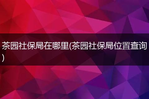 茶园社保局在哪里(茶园社保局位置查询)