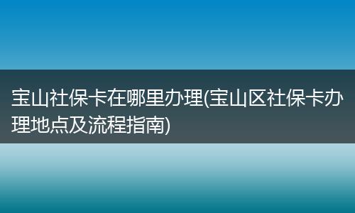 宝山社保卡在哪里办理(宝山区社保卡办理地点及流程指南)
