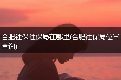 合肥社保社保局在哪里(合肥社保局位置查询)