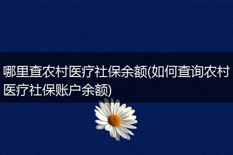 哪里查农村医疗社保余额(如何查询农村医疗社保账户余额)