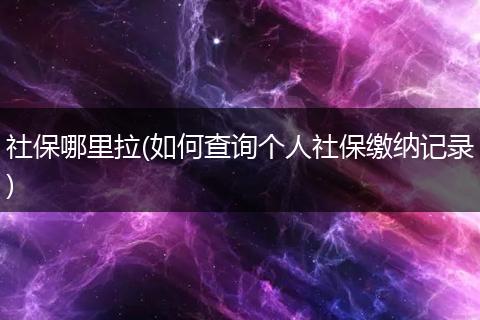 社保哪里拉(如何查询个人社保缴纳记录)