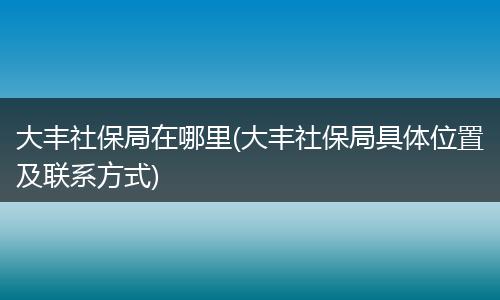 大丰社保局在哪里(大丰社保局具体位置及联系方式)