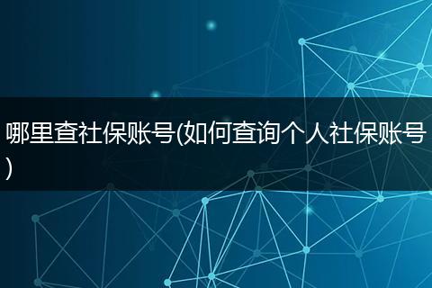 哪里查社保账号(如何查询个人社保账号)
